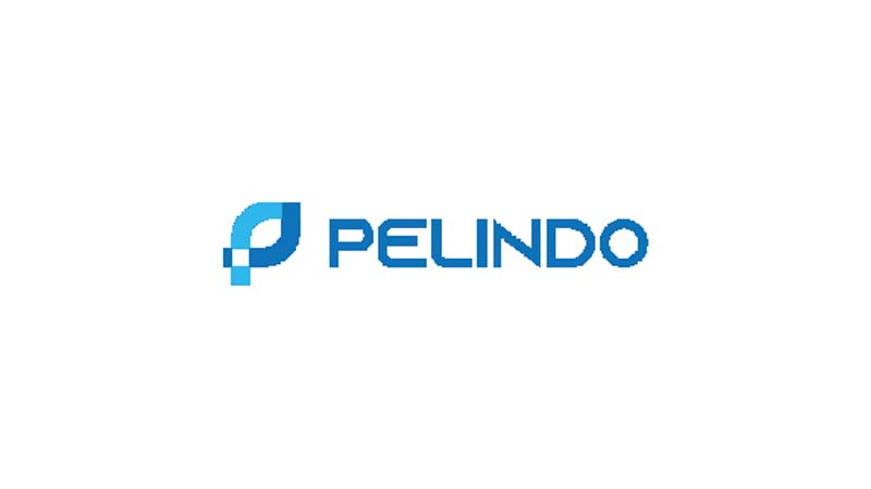 Pelindo Logo
