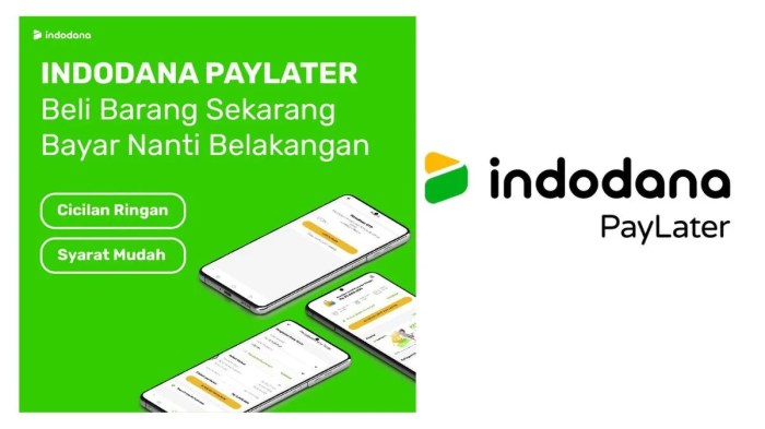 Review kerja di indodana