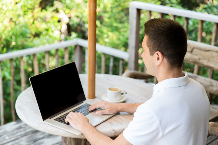 Kerja review online